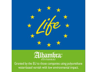 Alhambra Z-Nature CW EZ incl. Gig Bag Alhambra Z-Nature CW EZ incl. Gig Bag